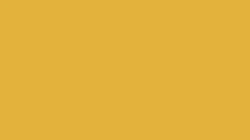 egger 163 st9 żółty curry.webp