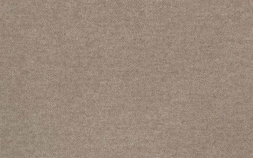 alpaca-fc26 (2).jpg
