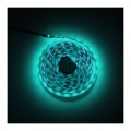 tasma-rgbw-60ledm-ip20-14wm-cyan.jpg
