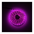tasma-rgbw-60ledm-ip20-14wm-pink.jpg