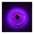 tasma-rgbw-60ledm-ip20-14wm-purple.jpg