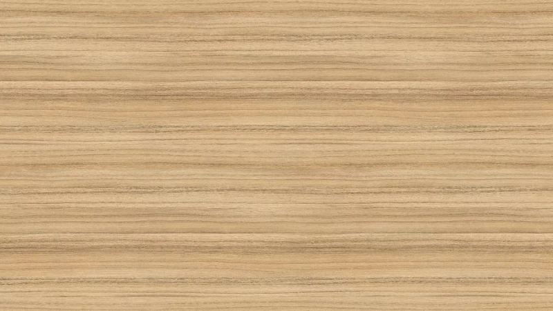 3012 ST22 Coco Bolo.webp