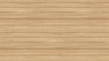 3012 ST22 Coco Bolo.webp