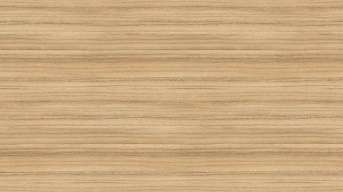 3012 ST22 Coco Bolo.webp