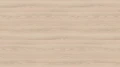 1250 ST36 Jesion Navarra.webp