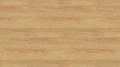 3730 ST10 Hikora naturalna.webp