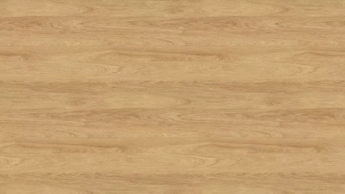 3730 ST10 Hikora naturalna.webp
