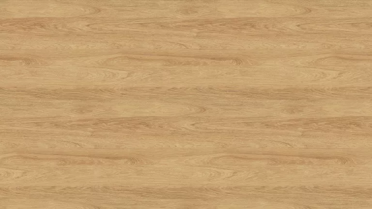3730 ST10 Hikora naturalna.webp