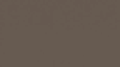 748 ST9 Brąz Trufla.webp