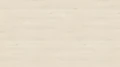 3433 ST22 Sosna Aland polarna.webp