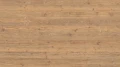 AR_16_9 (1).webp