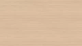 AR_16_9 (4).webp