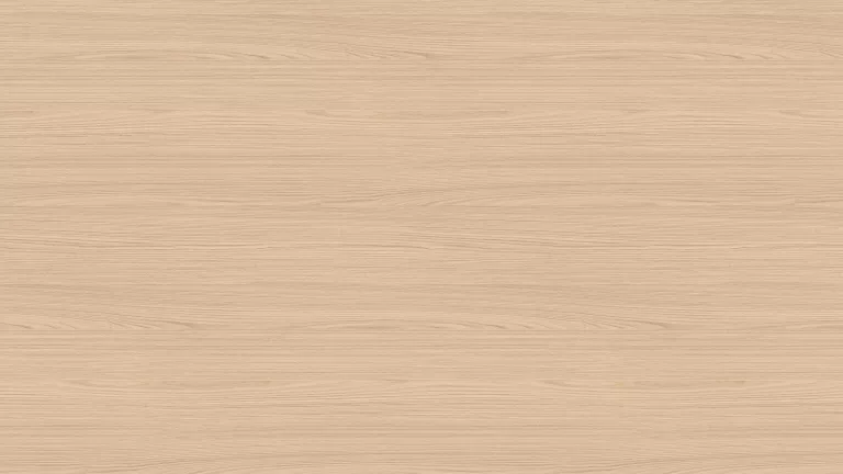 AR_16_9 (4).webp