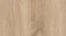 AR_16_9 (22).webp