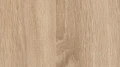 AR_16_9 (22).webp