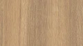AR_16_9 (23).webp