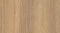 AR_16_9 (23).webp