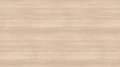 AR_16_9 (40).webp