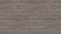 AR_16_9 (50).webp