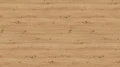 AR_16_9 (58).webp
