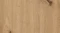AR_16_9 (59).webp