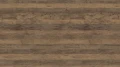 AR_16_9 (60).webp