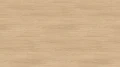 AR_16_9 (72).webp