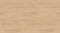 AR_16_9 (72).webp