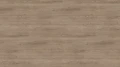 AR_16_9 (78).webp
