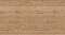 AR_16_9 (87).webp