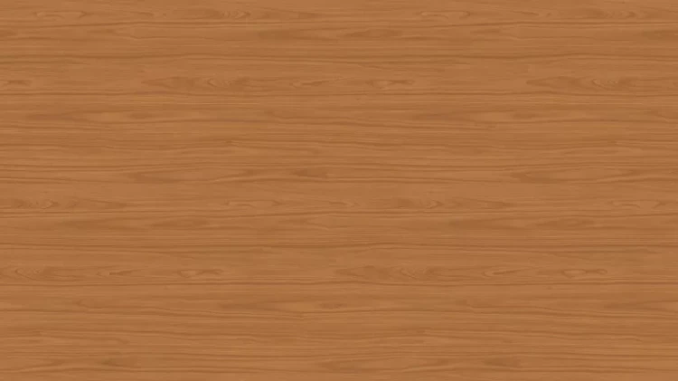 AR_16_9 (91).webp