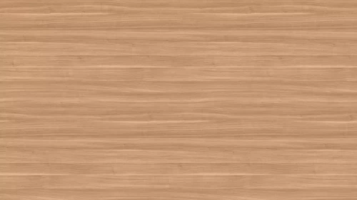 AR_16_9 (97).webp
