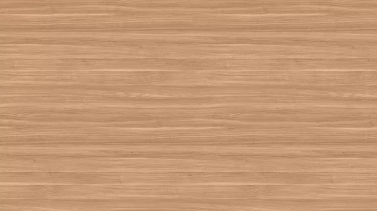 AR_16_9 (97).webp