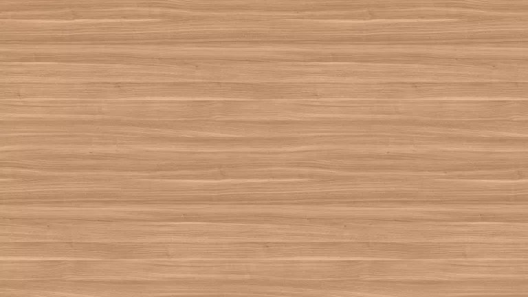 AR_16_9 (97).webp