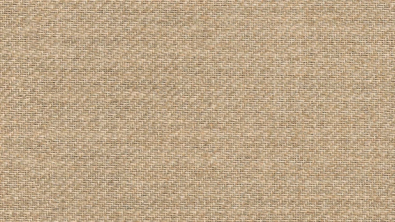 AR_16_9 (1).webp
