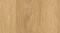 AR_16_9 (1).webp