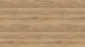 AR_16_9.webp