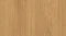 AR_16_9 (1).webp