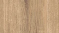 AR_16_9 (1).webp