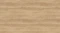 AR_16_9.webp