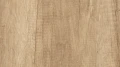 AR_16_9 (1).webp