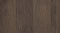 AR_16_9 (1).webp
