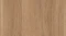AR_16_9 (1).webp