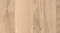 AR_16_9 (1).webp