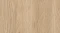 AR_16_9 (1).webp