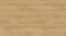 AR_16_9.webp