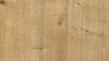 AR_16_9 (1).webp