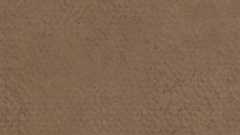 AR_16_9 (1).webp