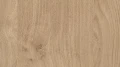 AR_16_9 (1).webp