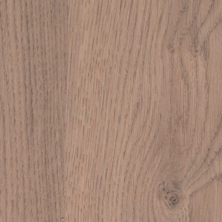 4627-rovere-valdweg_aleve_0-800x800.jpg
